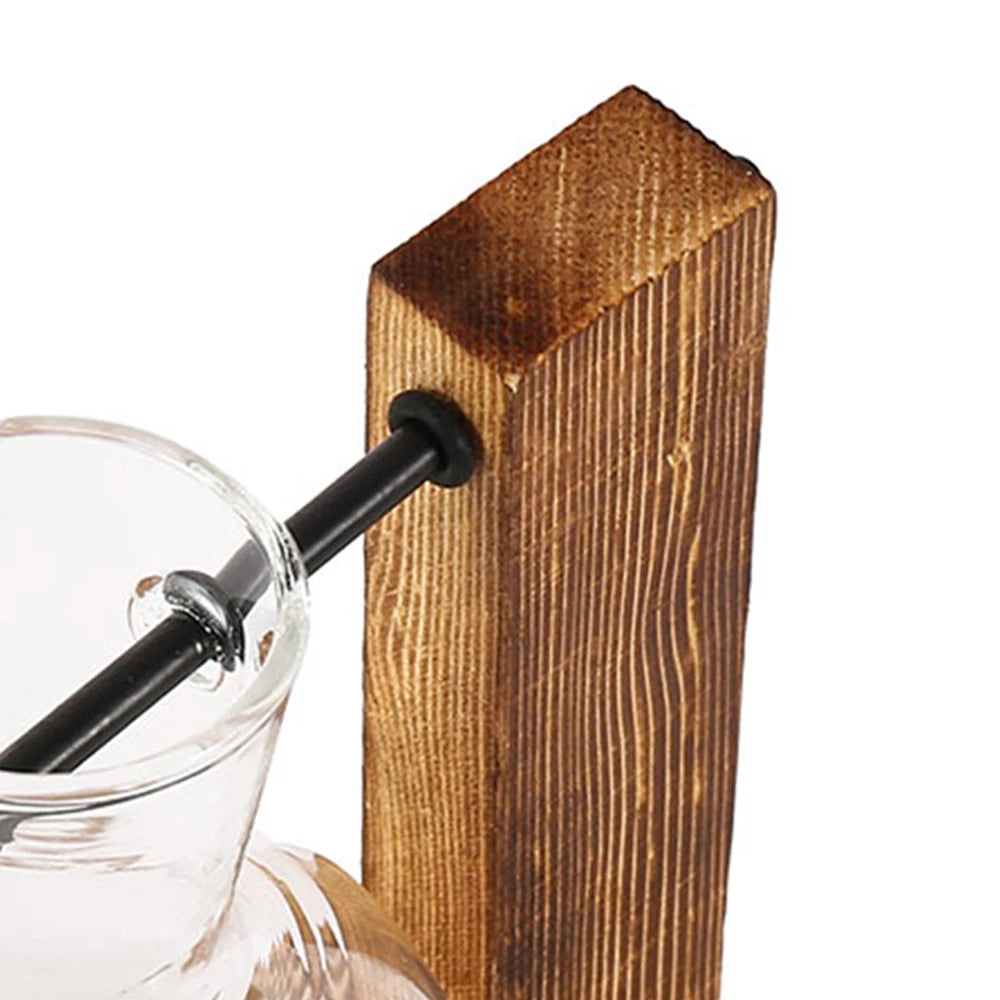 Glass Bulb Vase with Wooden Stand — Desktop Hydroponic Planter