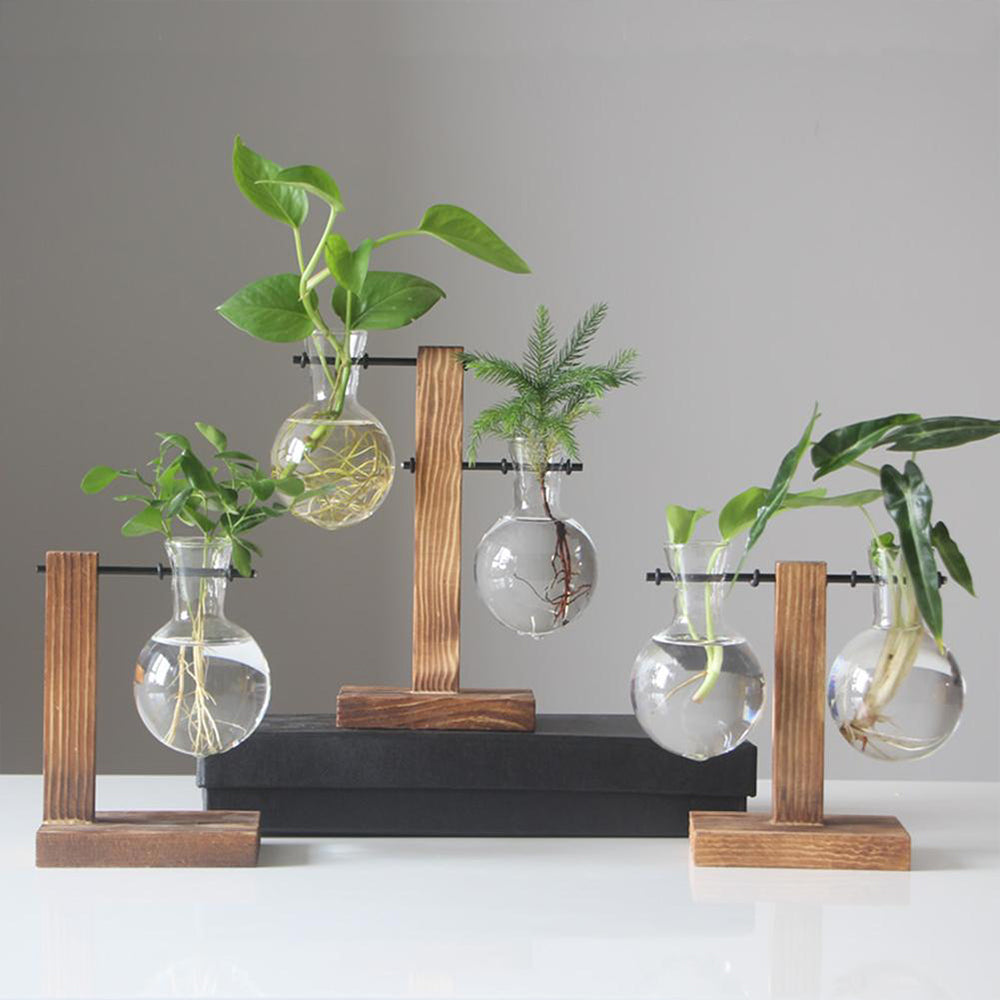 Glass Bulb Vase with Wooden Stand — Desktop Hydroponic Planter