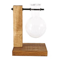 Glass Bulb Vase with Wooden Stand — Desktop Hydroponic Planter