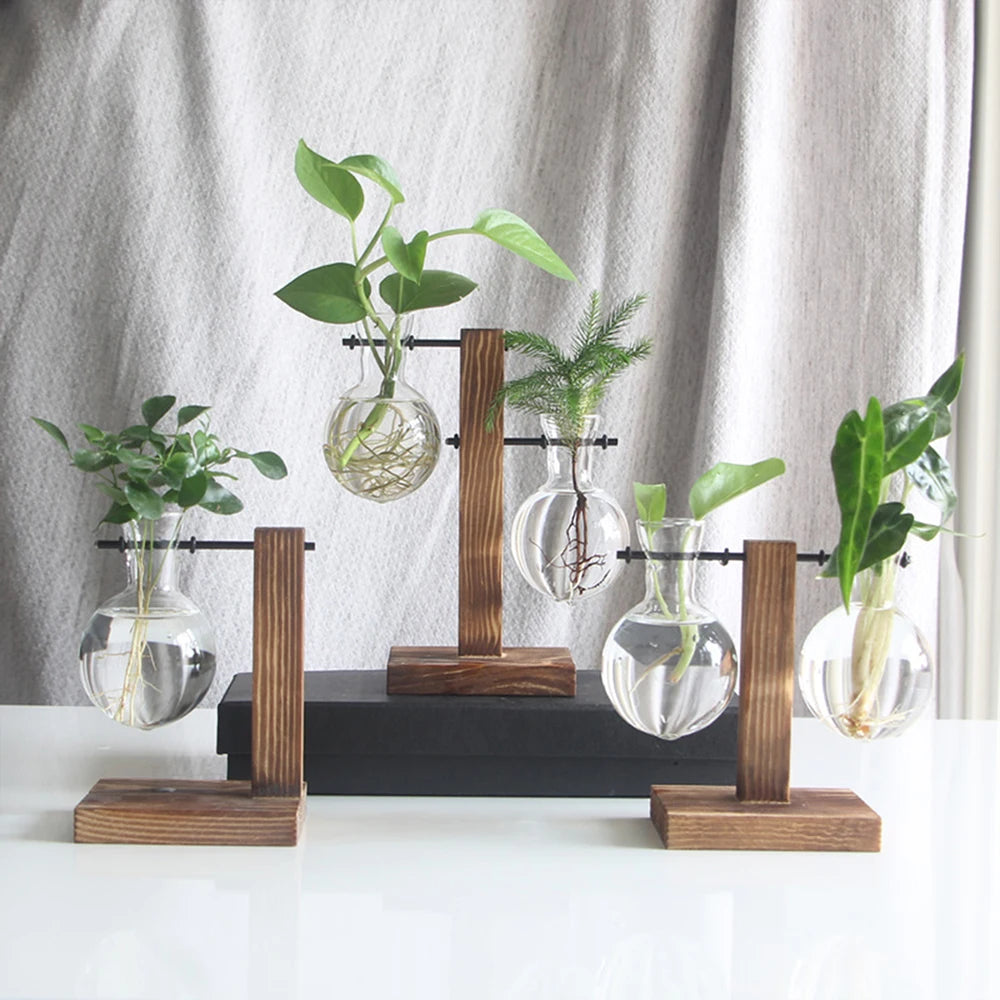 Glass Bulb Vase with Wooden Stand — Desktop Hydroponic Planter