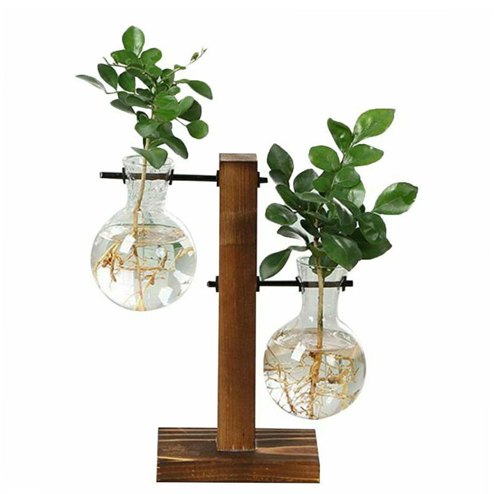Glass Bulb Vase with Wooden Stand — Desktop Hydroponic Planter