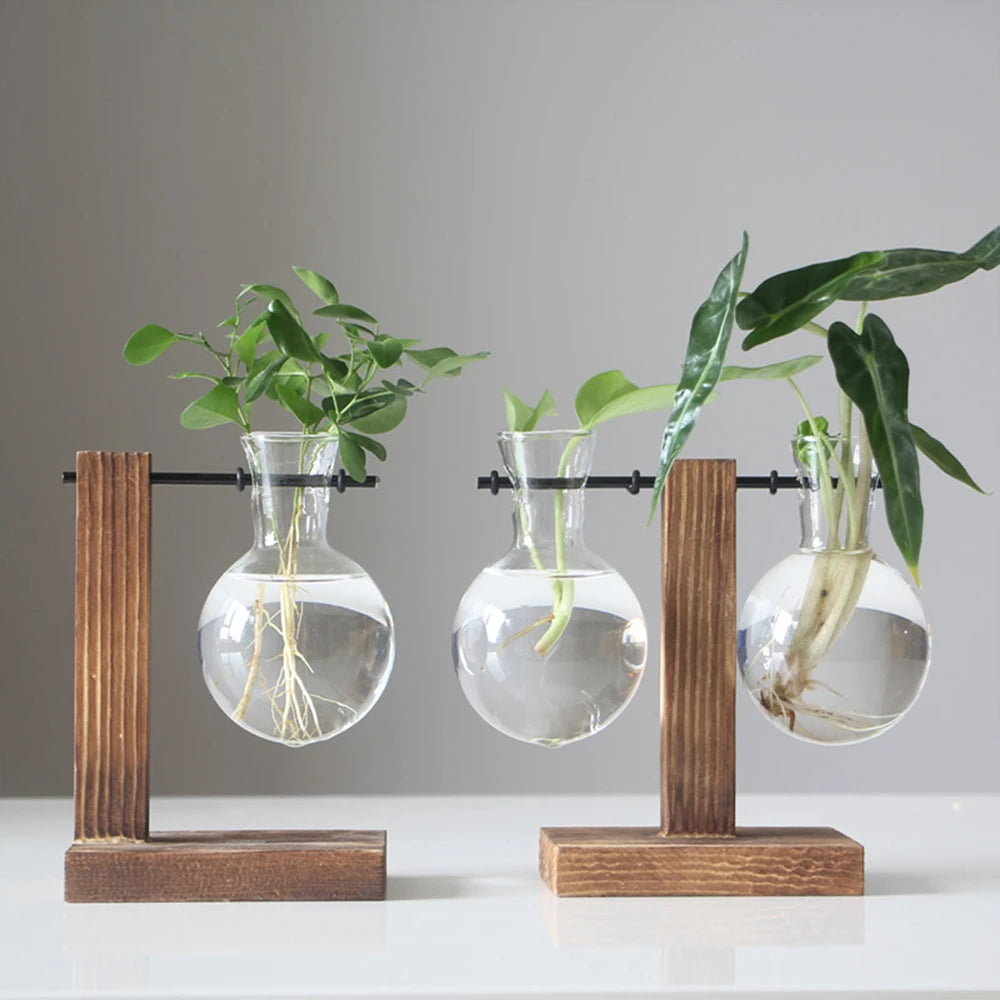 Glass Bulb Vase with Wooden Stand — Desktop Hydroponic Planter