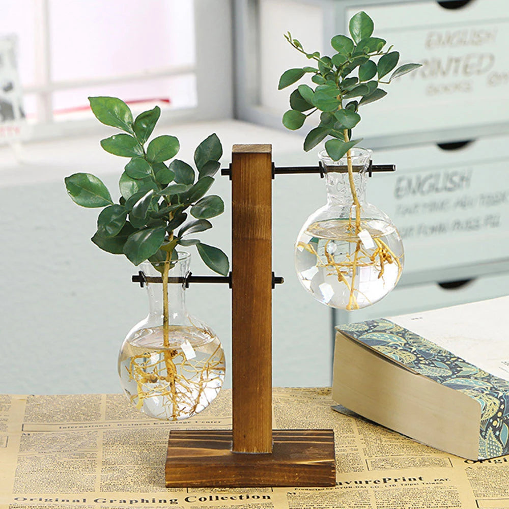 Glass Bulb Vase with Wooden Stand — Desktop Hydroponic Planter