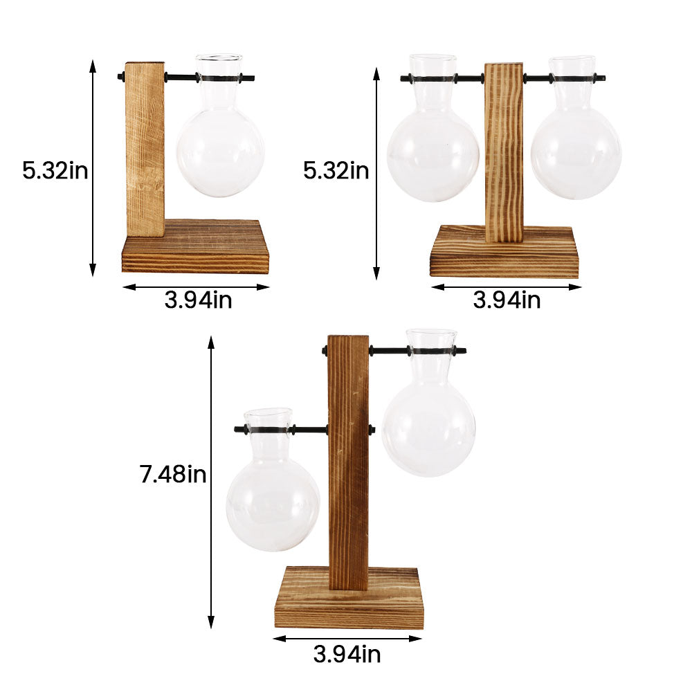 Glass Bulb Vase with Wooden Stand — Desktop Hydroponic Planter