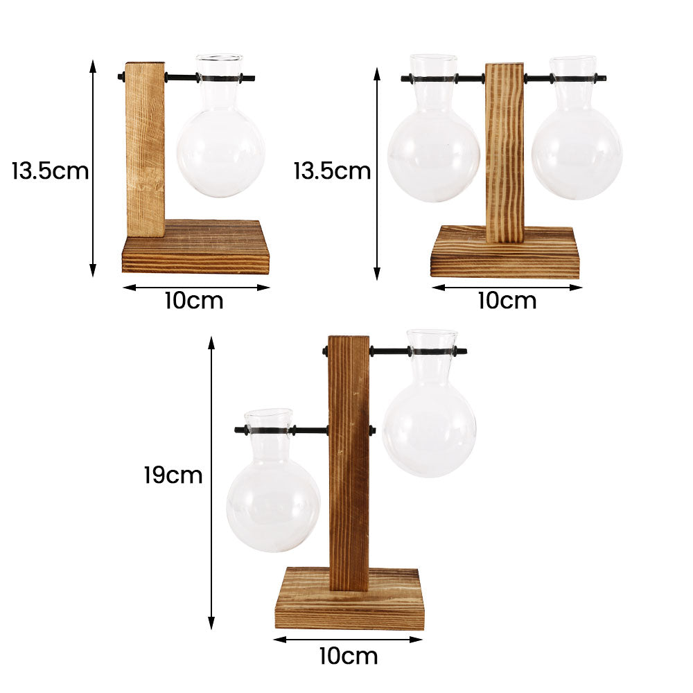 Glass Bulb Vase with Wooden Stand — Desktop Hydroponic Planter