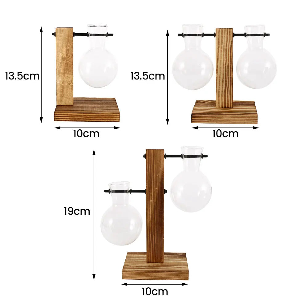 Glass Bulb Vase with Wooden Stand — Desktop Hydroponic Planter