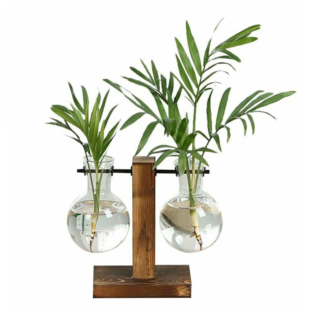 Glass Bulb Vase with Wooden Stand — Desktop Hydroponic Planter