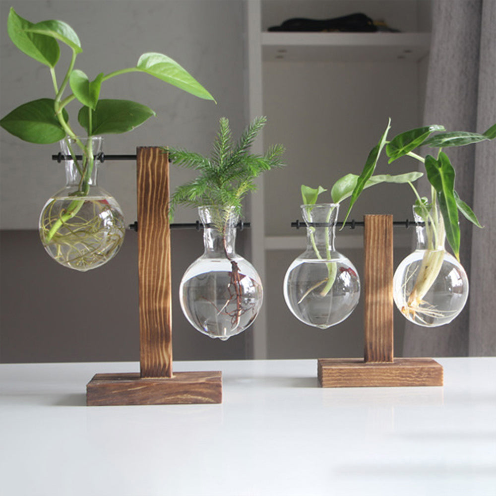 Glass Bulb Vase with Wooden Stand — Desktop Hydroponic Planter