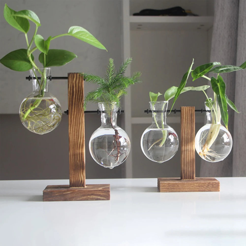 Glass Bulb Vase with Wooden Stand — Desktop Hydroponic Planter